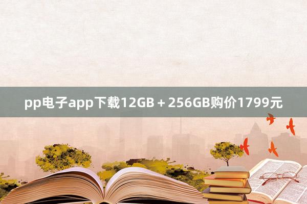 pp电子app下载12GB＋256GB购价1799元